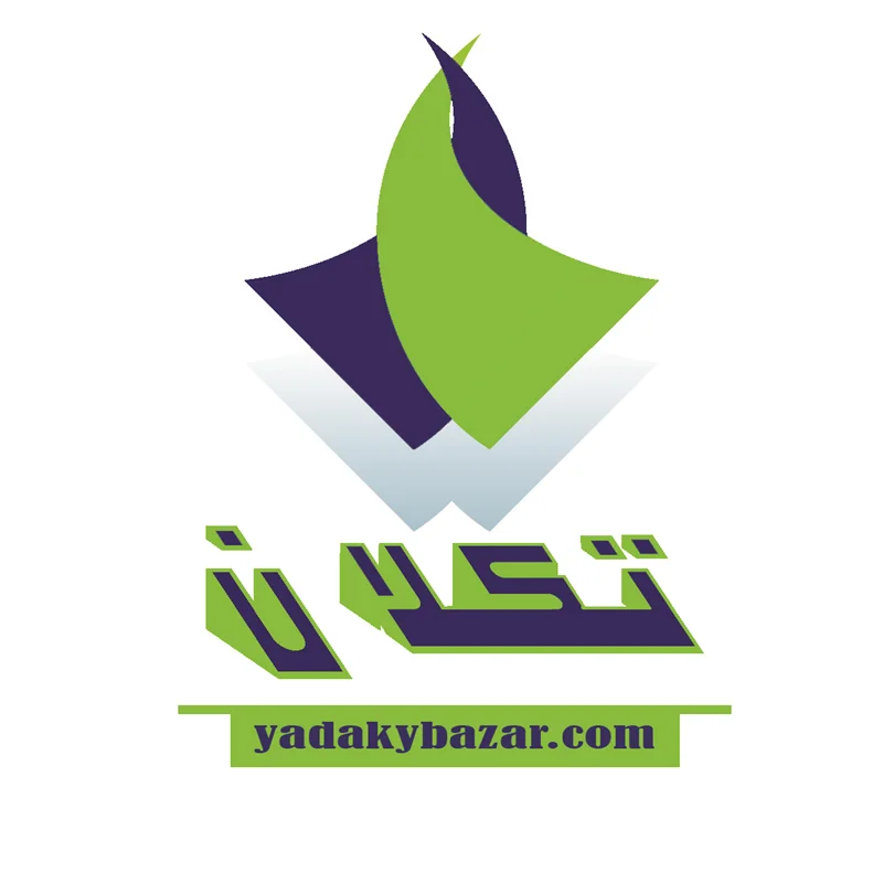 توپی سرکمک (مانتینگ سر اکسل) جلو چپ پژو 206 امیرنیا